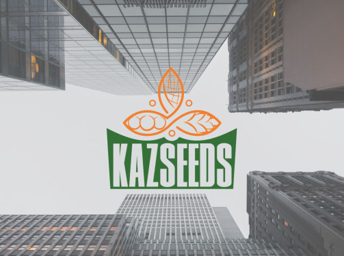 Kazseeds | Lease Acquisition